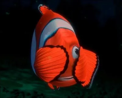 (Finding Nemo) What kind of fish is Nemo?