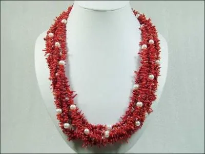 The coral used to make jewelry comes from ...