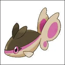 Where does its name come from?