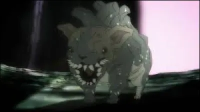 Whats is the name of this creature ?