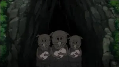 Whats is the name of this creature ?