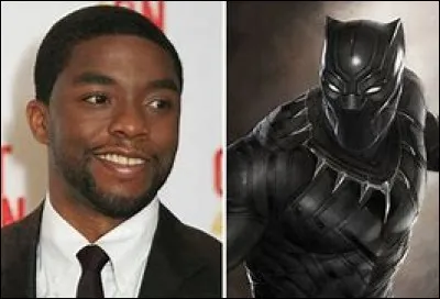 Who is the actor who interprets Black Panther?