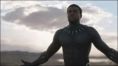 What is Black Panther's real name?