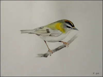 Who painted this artwork ?