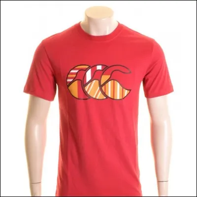 What is this rugby logo?