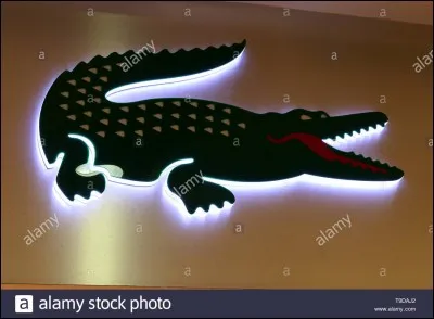 What is this sportswear logo?