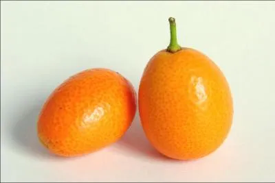 Kumquats are fruits native ...