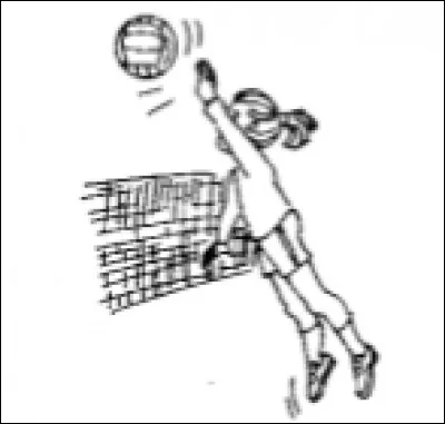 Le dimanche, j'aime jouer au volley-ball.