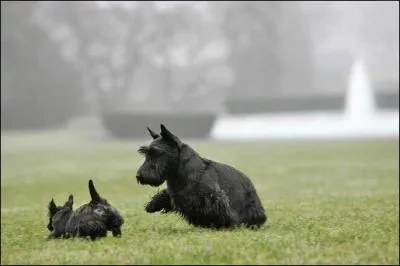Barney & Mz. Beazley