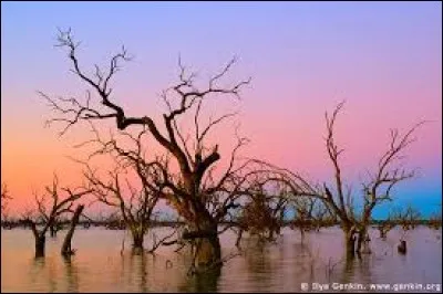 Whats is the name of this lake ?