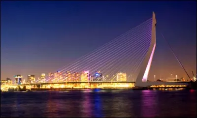Whats is the name of this Bridge ?