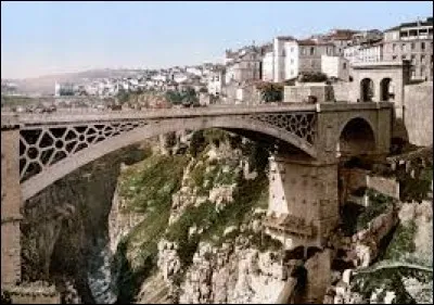 Whats is the name of this Bridge ?