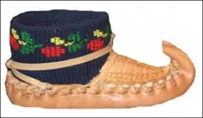 Whats is the name of these shoes ?