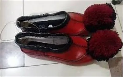 Whats is the name of these shoes ?