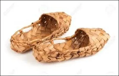 Whats is the name of these shoes ?