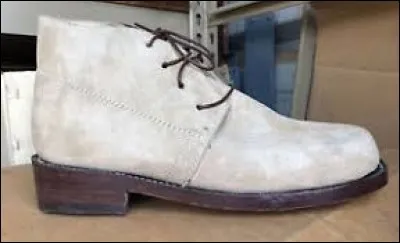 Whats is the name of these shoes ?