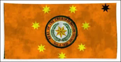 What ethnicity does this flag belong to ?