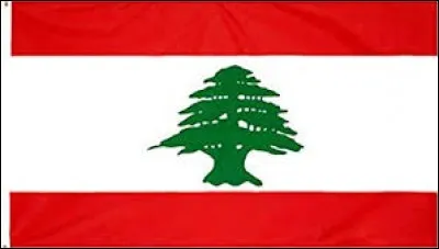 To which country does this flag belong ?