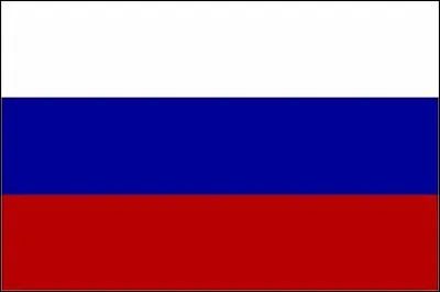 To which country does this flag belong ?