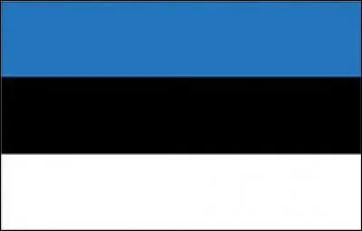 To which country does this flag belong ?