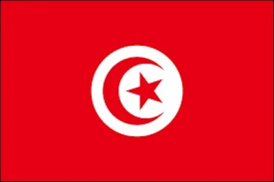 To which country does this flag belong ?