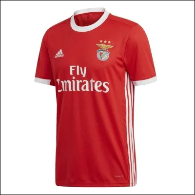 Which club does this jersey belong to?