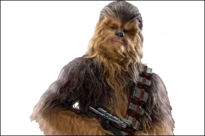 Who is this character?