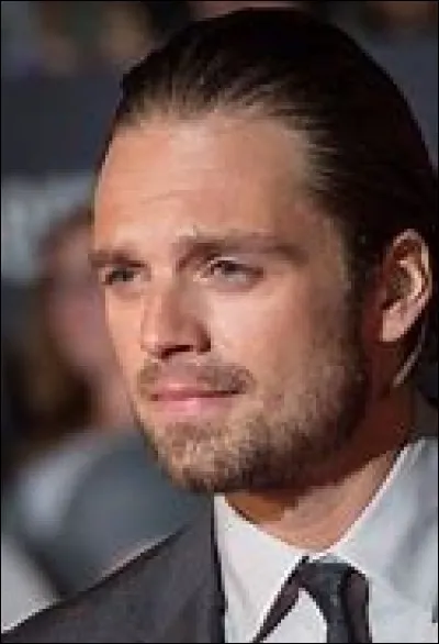 Which actor plays James Buchanan Barnes Bucky/The Winter Soldier?
(Captain 1,2,3, Avengers 3,4, Black Panther)
