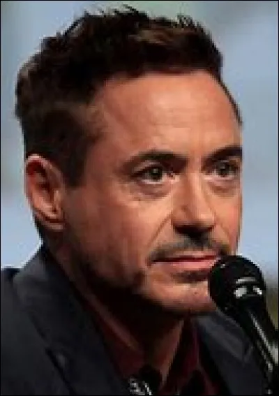 Which actor plays Tony Stark/Iron Man?
(Iron Man 1,2,3, Avengers 1,2,3,4, Captain America 2, Spider-Man Homecoming)