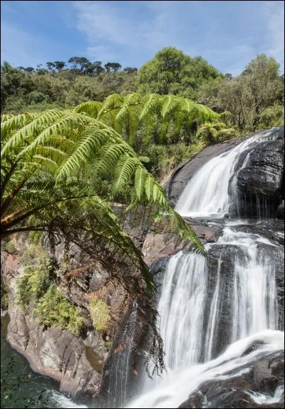 On which continent is Sri Lanka located ?