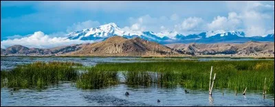 Do you know which is the constitutional capital of Bolivia?