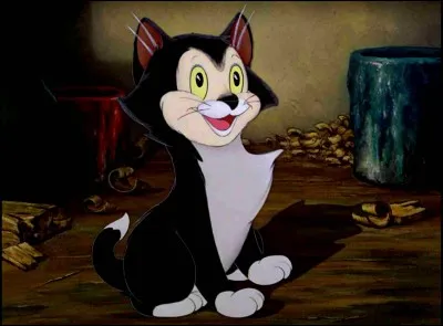 What is the name of this cat, present in "Pinocchio" ?