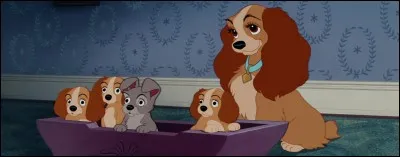 In "Beauty and the Tramp", what is Lady's dog breed ?