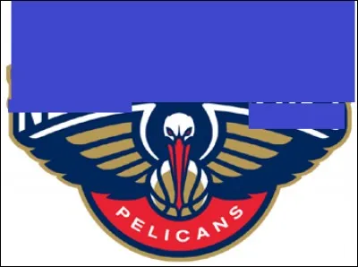 What is the name of this team?