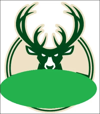 Find the team with this logo :