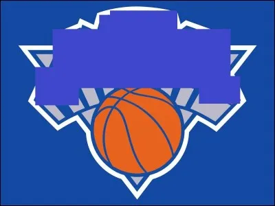 What is this team called?