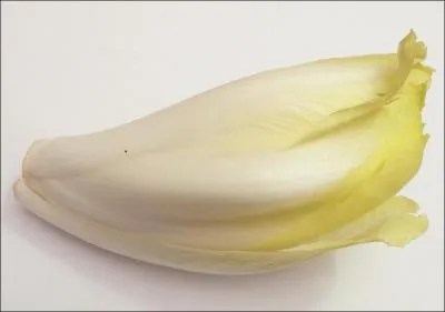 How do you get white endives?