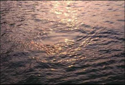 Saumatre' means 'that tastes ... '.