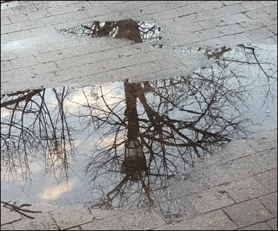 What does Socrates' metaphor of the reflection symbolize in Plato's speech?