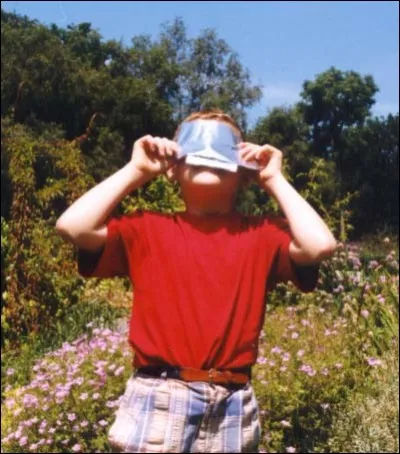 What, then, does the metaphor of contemplating the sun by day symbolize?