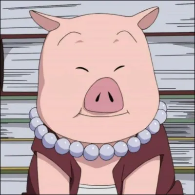 Uncle, Shizune's pig! What's he missing?