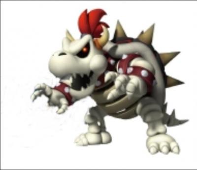 This character is not Bowser. This character is... (Bowser Skelet in French)
