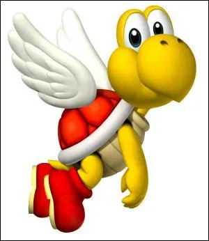 Who is this tortoise ?