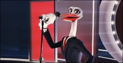 How long are lives storks ?