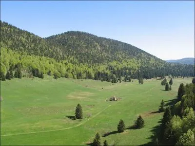 From which cartoon does this song come 'I'd do anything I could I'd give everything I have But I don't know how to find the right way '