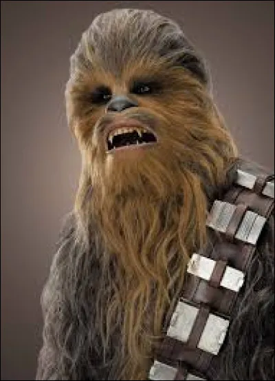 This character is...