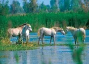 Quiz L'eau de là - les lacs