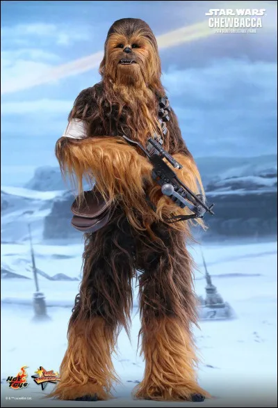 What is Chewbacca's weapon?