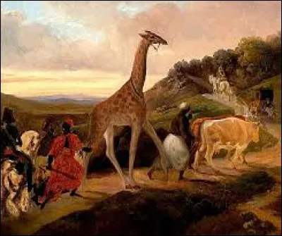 In the 19th century, which king did Mehemet Ali give a giraffe to?