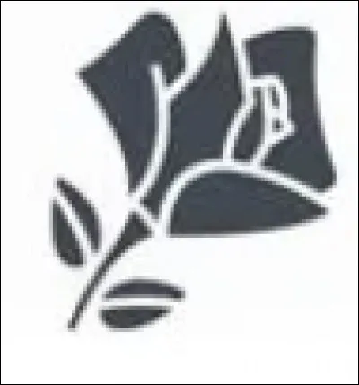 The luxury brand associated with this rose is...